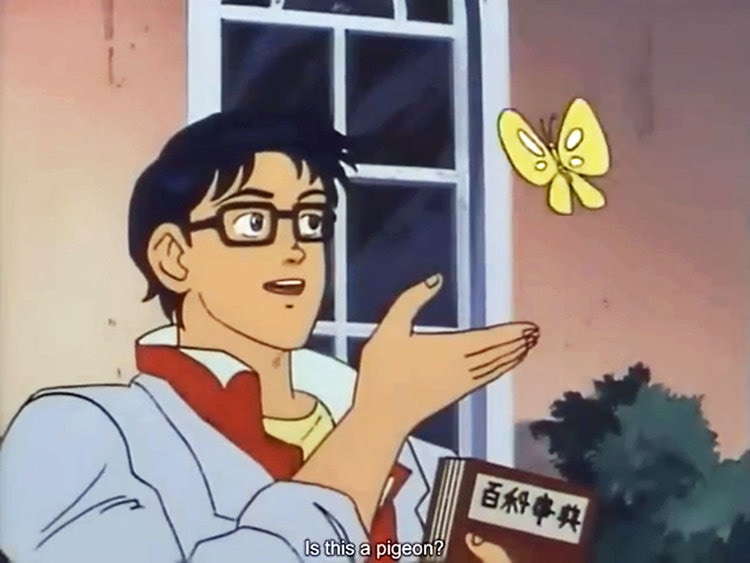 Meme template ANIME BUTTERFLY MEME