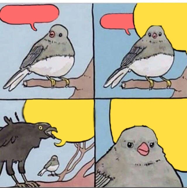 Meme template annoyed bird