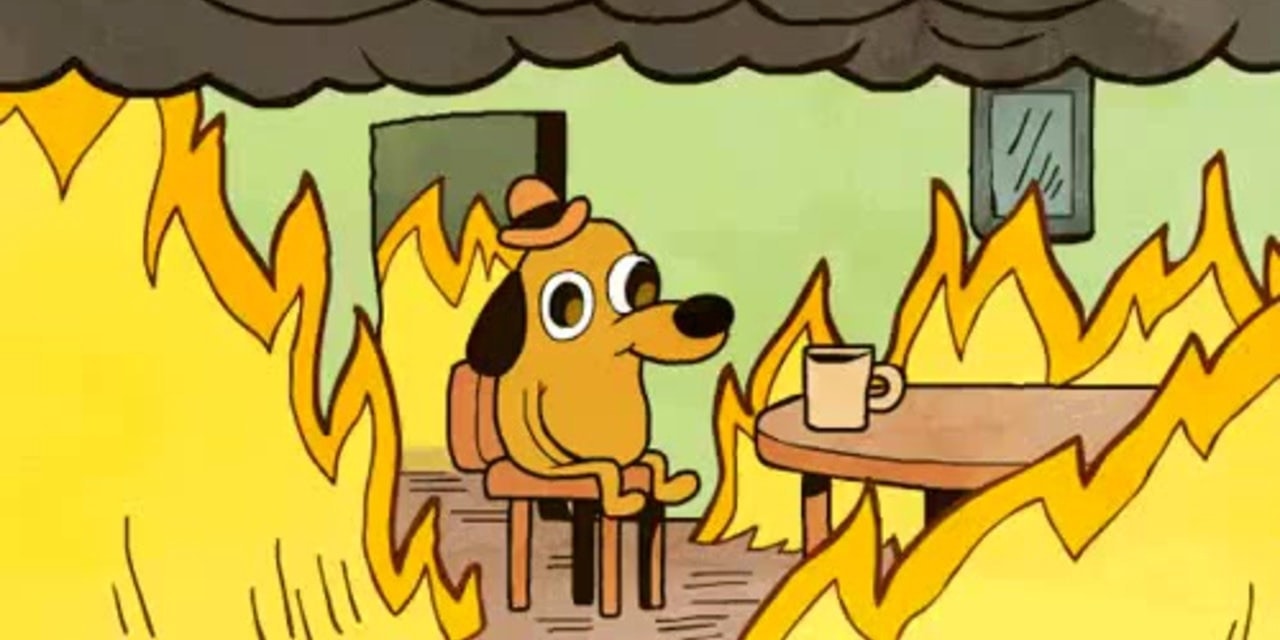 Meme template Dog on fire