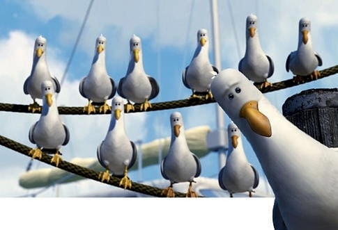 Meme template Finding Nemo Seagulls