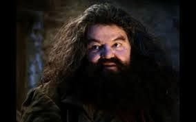 Meme template hagrid yer a wizard