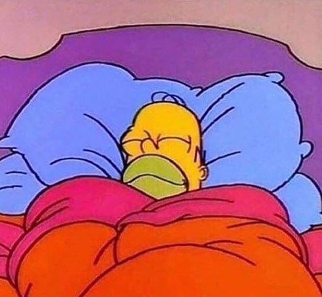 Meme template Homer Simpson sleeping peacefully