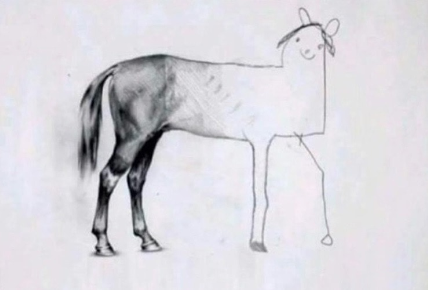 Meme template Horse Drawing