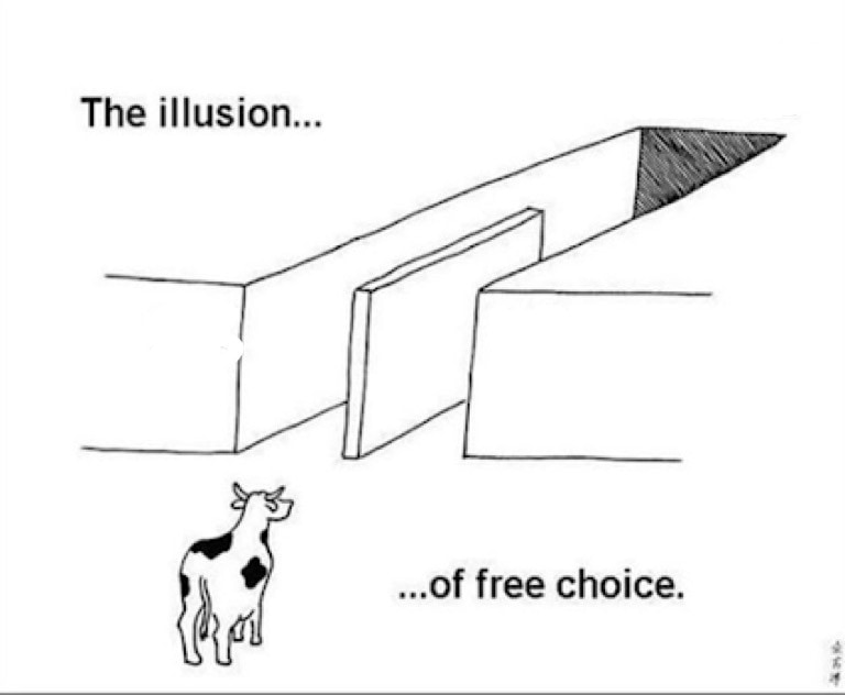 Meme template Illusion of free choice