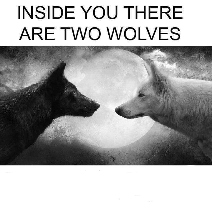 Wolves, two wolves, 2 wolves