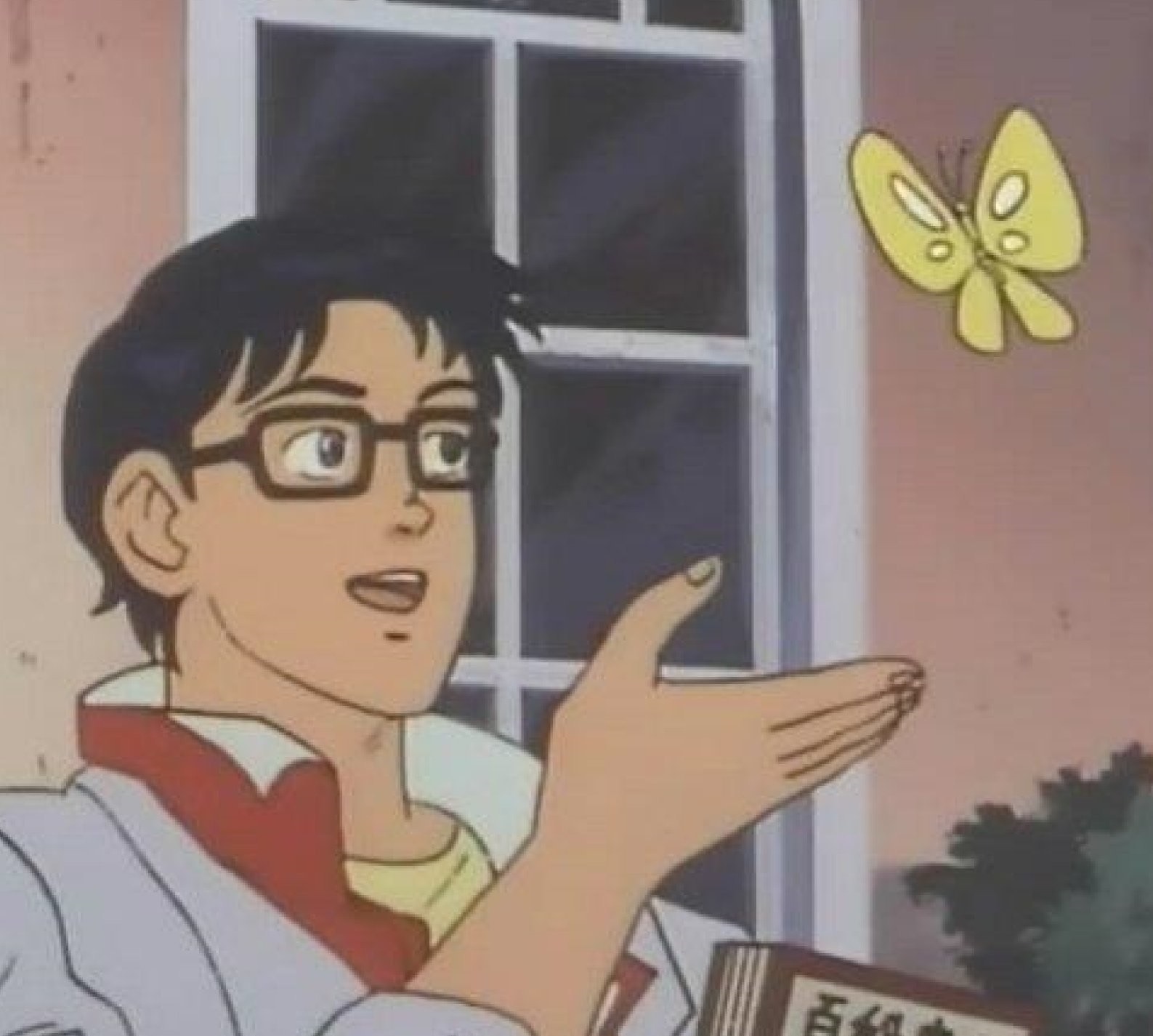 Meme template is this butterfly