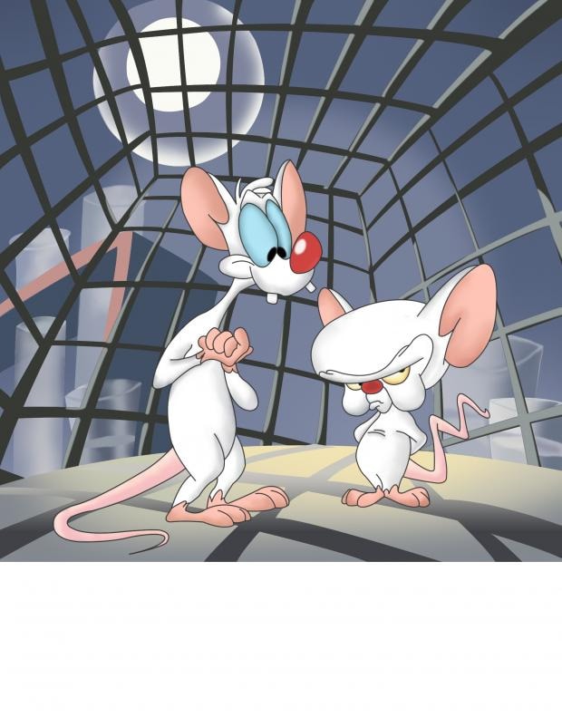 Meme template Pinky and the brain