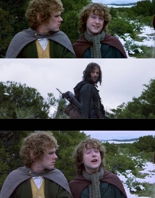 LOTR, Lord of the Rings, Pippin