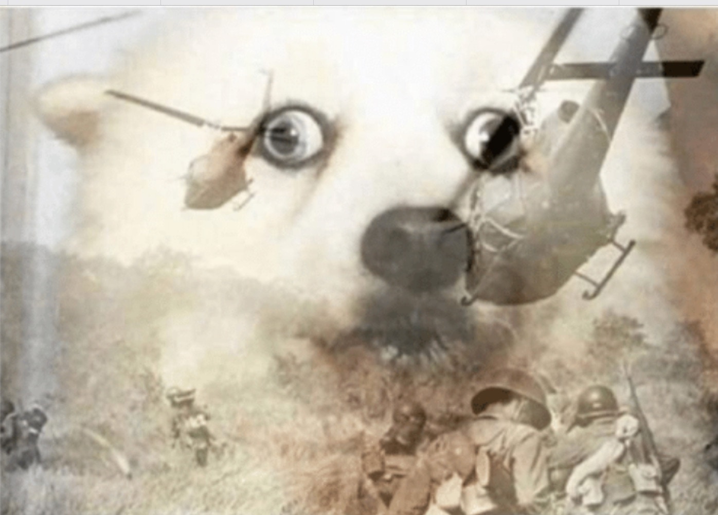 Viatnam dog, scared dog, worried dog, war dog, trauma dog