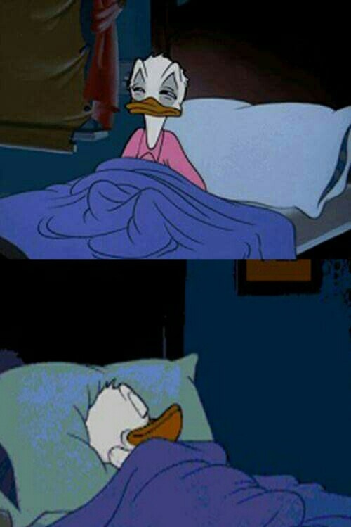 Meme template sleepy donald duck in bed