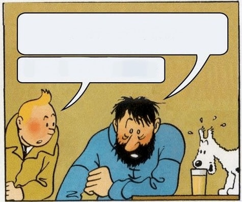 Tin Tin and Captain Haddock