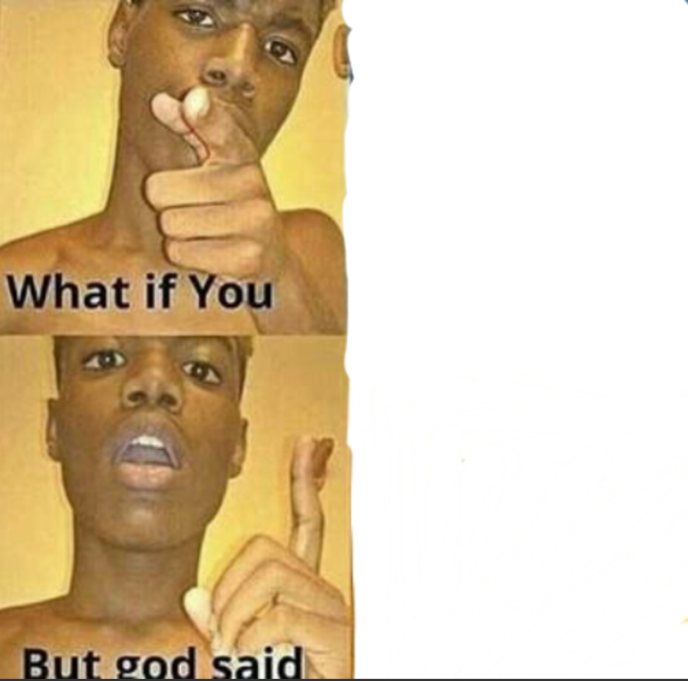 Meme template What if you-But god said
