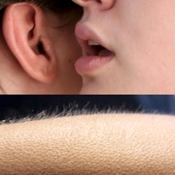 Meme template Whisper and Goosebumps