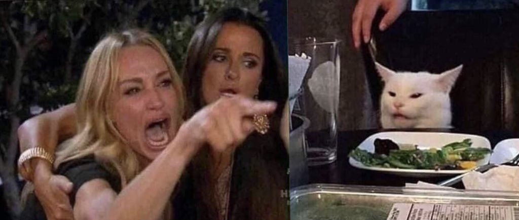 angry women, angry cat