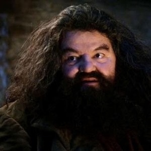 Meme template You're a wizard harry